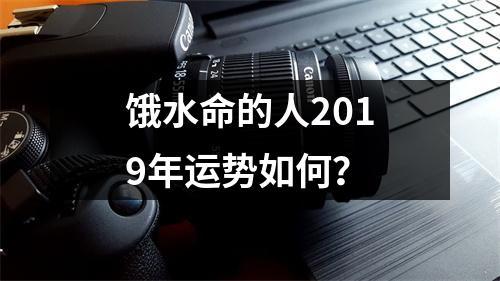 饿水命的人2019年运势如何?