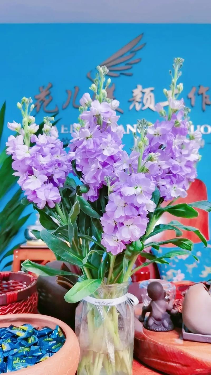 梦见婚宴怎么回事