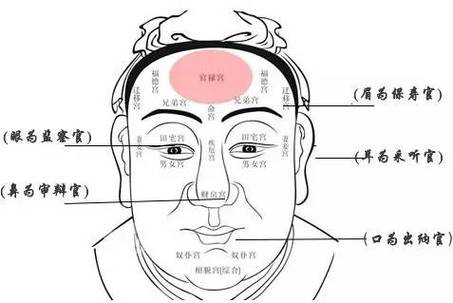 史上最全的骨相图解大全