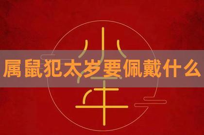 2022年属鼠人犯太岁吗