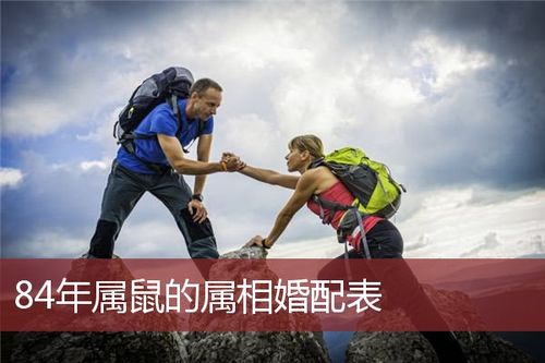 84年鼠男婚配如何