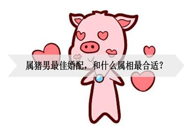 生肖猪的人最佳的婚配对象是什么呢?