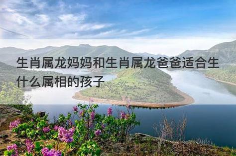 龙爸爸和龙妈妈生什么宝宝好