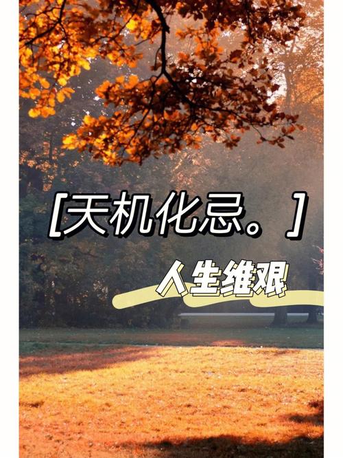 天机化忌出现在各宫的时候有什么影响
