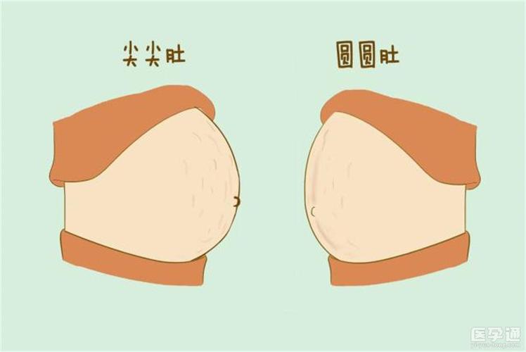 长这样容易生女孩,想生女孩的快来对照
