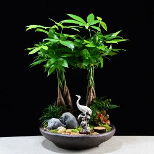办公桌摆什么招财,植物还是摆件?