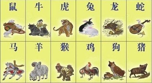 2014马年十二生肖的爱情盲点