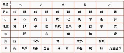 常识十二地支是指?十天干是指?