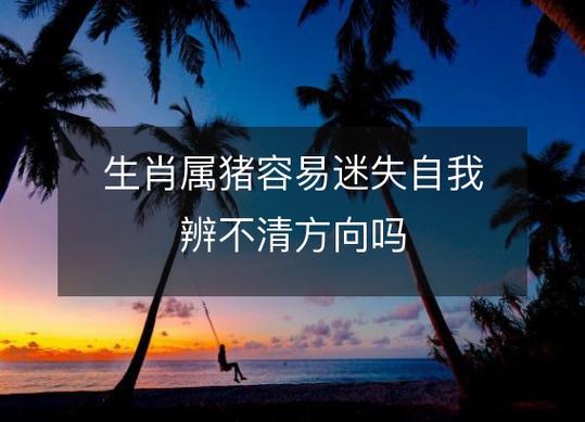 属猪人最容易在什么时候迷失自我