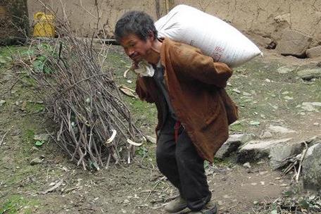 梦见背粮食怎么回事