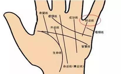 手上多条竖直的财运线代表财运好吗