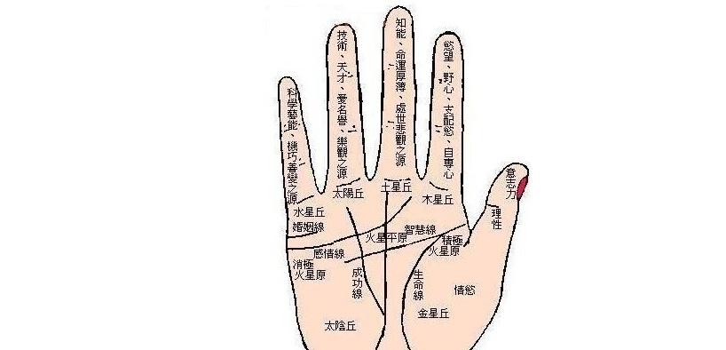 男人左手断掌手相算命