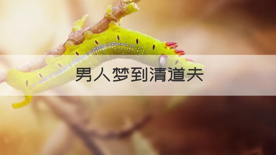 梦见当了清道夫