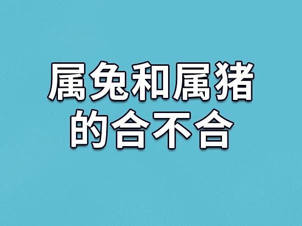 生肖属兔妈妈和生肖属猪爸爸跟什么生肖属相的孩子不合