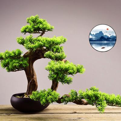 客厅东北角摆放什么好,植物还是工艺品?