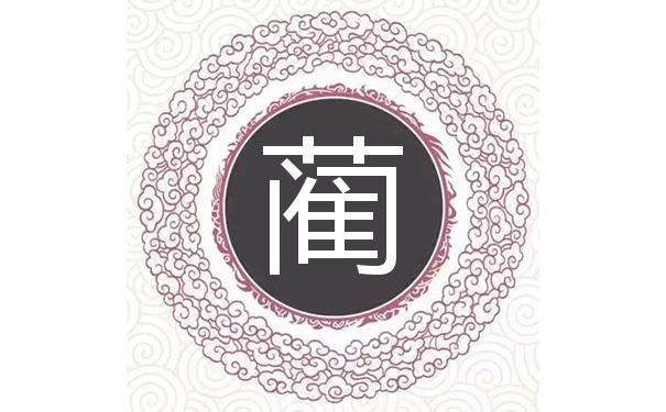 姓蔺以光字开头的男孩名字