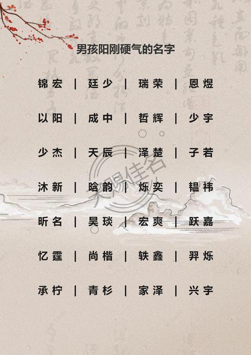 鼠宝宝姓詹男孩名字好听大全