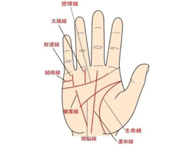 财运看掌纹哪里