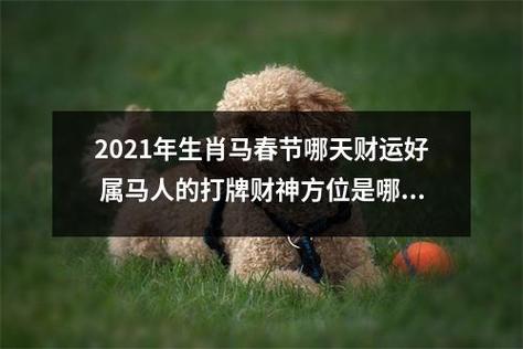 属马的2021年财运各方面怎么样