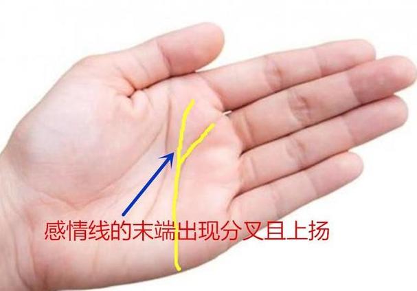 感情线有很多分叉小须须代表什么