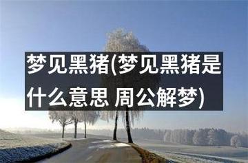 周公解梦梦见黑猪是什么意思