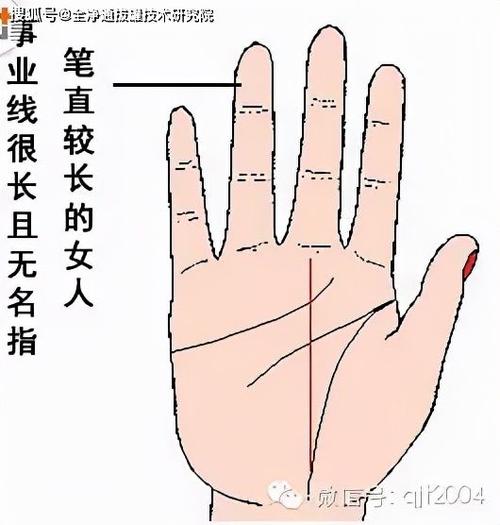 女人也主外,女人的事业线怎样算好