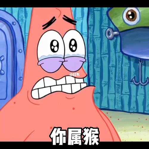 属龙闹了笑话什么反应