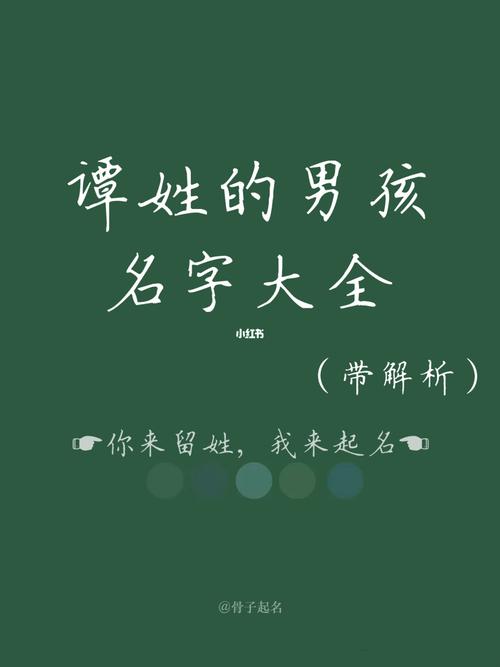 2023年五月初九出生谭姓男孩名字