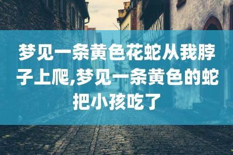 梦见一条黄蛇 梦见一条黄蛇在床上
