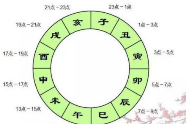 卯时出生五行属什么?他们的运势如何?