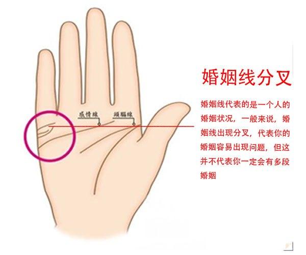 手相算命图解大全,注定二婚的女人手相
