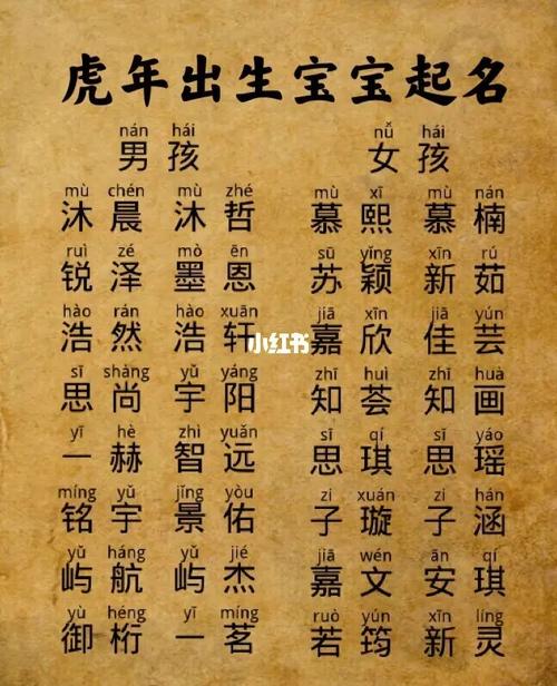 女孩姓虎有涵养的名字有什么值得推荐的取名方式