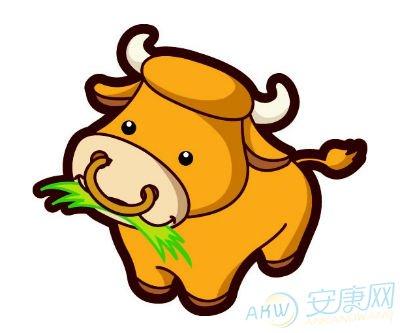 八月份什么生肖运气最好