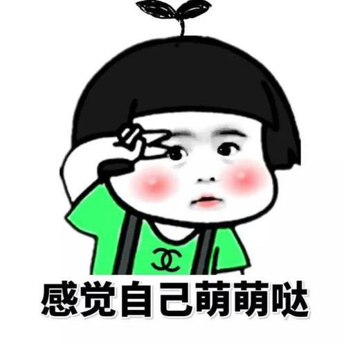 十二星座中,最会搞笑,模仿,也最容易得罪人的,是哪几个星座?