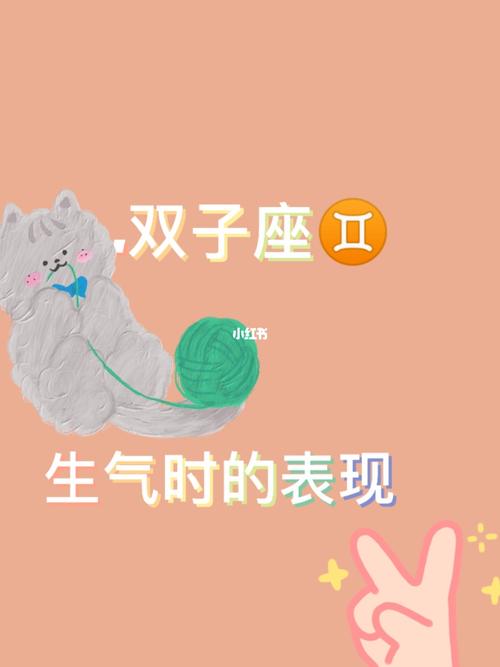 双子女生气转换快,双子女生气