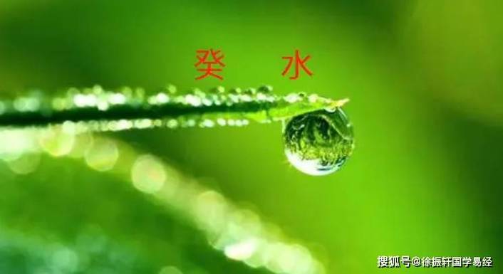 戊土非常喜欢癸水