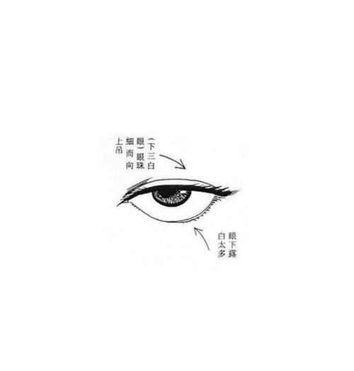为人忠厚正直者眼睛都浑圆吗?