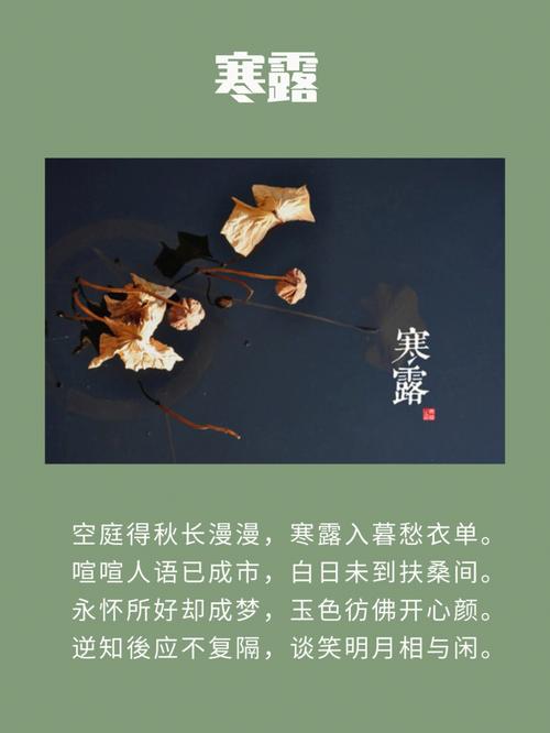 2016年寒露节气具体时间