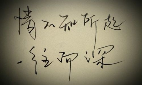 情不知所起,一往情深,这几个星座注定为情所困