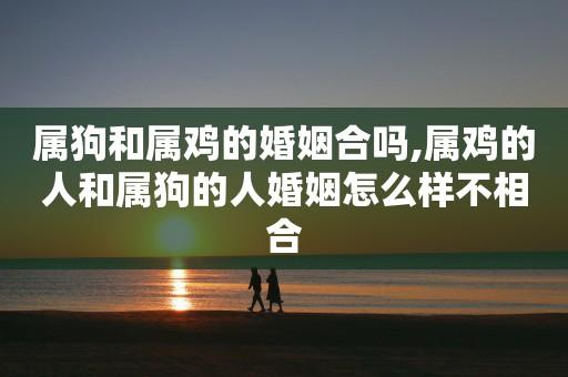 女属狗男属鸡婚姻状况如何?属鸡男婚后会有哪些改变?