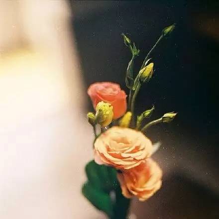 梦见什么是受孕成功了