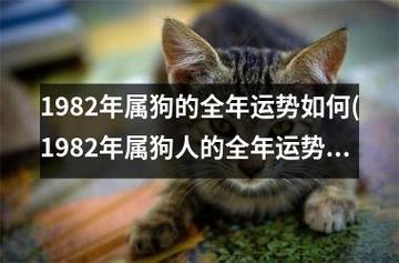 82年属狗2021年的运势男