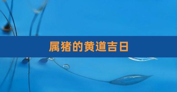 2023年7月生肖属猪人的黄道吉日