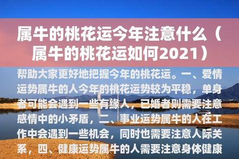 属牛的2021年下半年桃花运怎么样