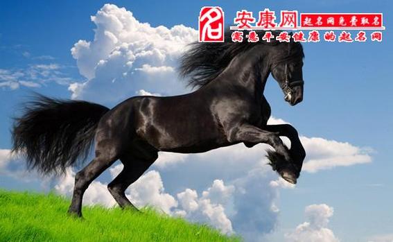 2014年生肖马桃花运