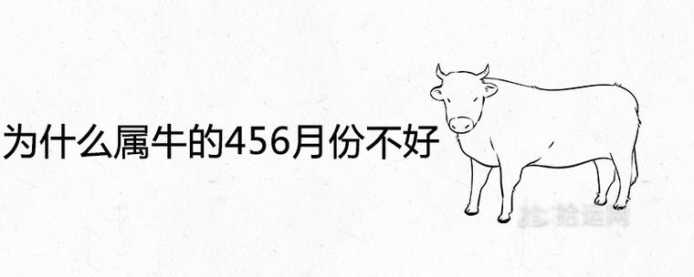 为什么属牛的456月份不好
