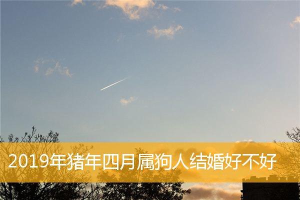 2019猪年属相狗婚配