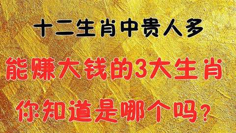 懂得攒大钱的12生肖
