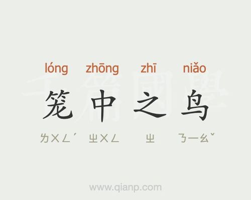 梦见笼中之鸟是什么意思
