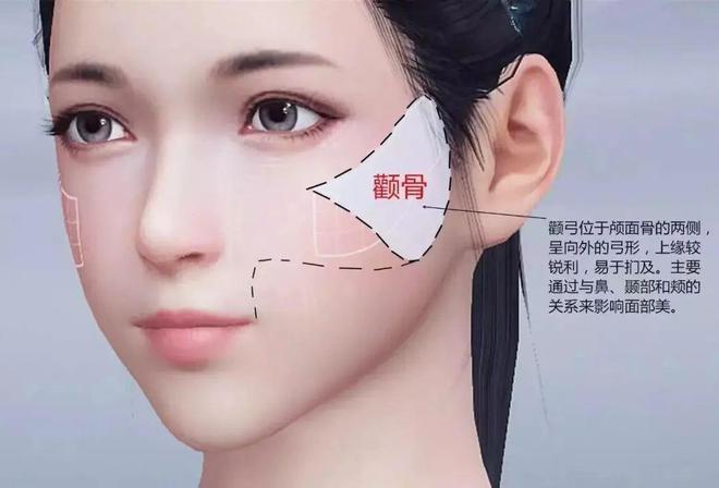 颧骨和个人运势的关系